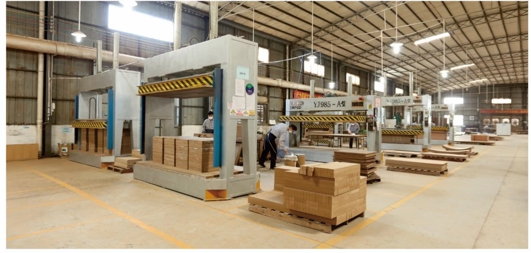 Factory photos-1.jpg